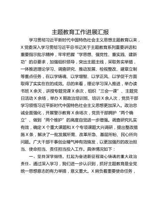 主题教育工作进展汇报