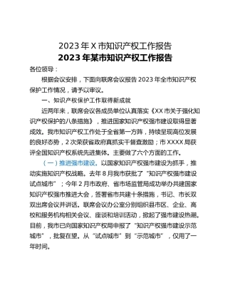 2023年X市知识产权工作报告