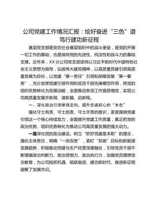 公司党建工作情况汇报：绘好奋进“三色”谱笃行建功新征程