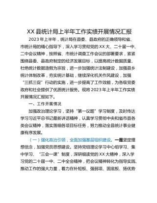 XX县统计局上半年工作实绩开展情况汇报