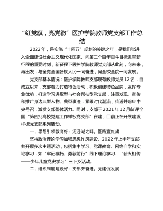 “红党旗，亮党徽”医护学院教师党支部工作总结