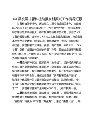 XX县发展甘薯种植助推乡村振兴工作情况汇报