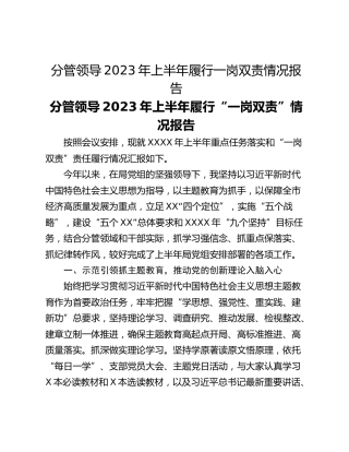 分管领导2023年上半年履行一岗双责情况报告