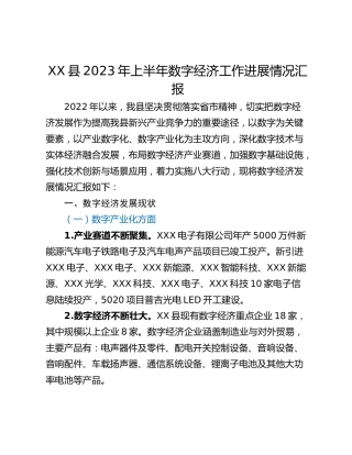 XX县2023年上半年数字经济工作进展情况汇报