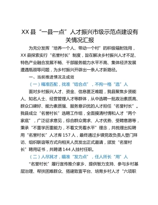 XX县“一县一点”人才振兴市级示范点建设有关情况汇报