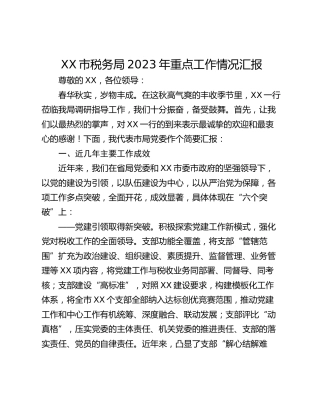 XX市税务局2023年重点工作情况汇报