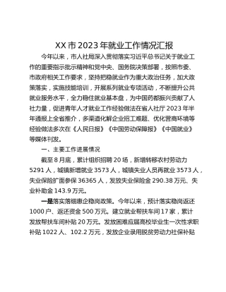 XX市2023年就业工作情况汇报