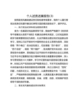 个人述责述廉报告(3)