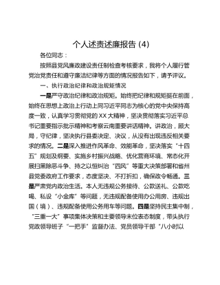 个人述责述廉报告 (4)