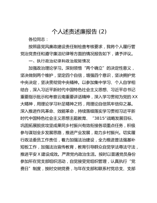个人述责述廉报告 (2)