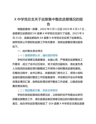 X中学党总支关于巡察集中整改进展情况的报告