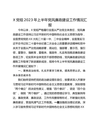 X党组2023年上半年党风廉政建设工作情况汇报
