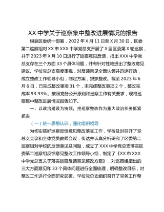 XX中学关于巡察集中整改进展情况的报告