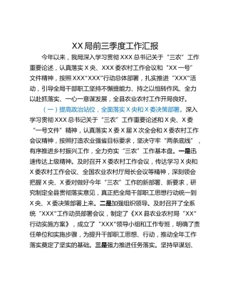 XX局前三季度工作汇报