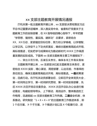 xx支部主题教育开展情况通报