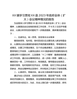 XX镇学习贯彻XX县2023年政府全体（扩大）会议精神情况的报告