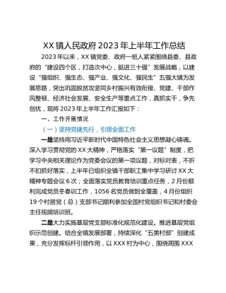 XX镇人民政府2023年上半年工作总结