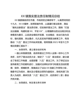 XX镇落实普法责任制情况总结