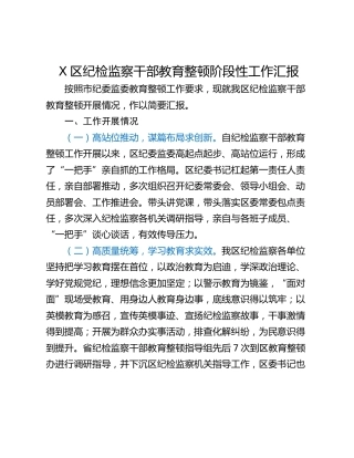 X区纪检监察干部教育整顿阶段性工作汇报