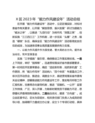 X区2023年“能力作风建设年”活动总结