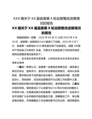 XXX镇关于XX届县委第X轮巡察整改进展情况的报告