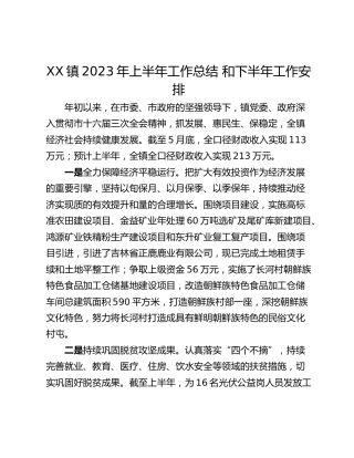 XX镇2023年上半年工作总结 和下半年工作安排