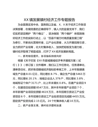 XX镇发展镇村经济工作专题报告
