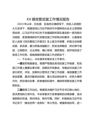 XX镇党管武装工作情况报告