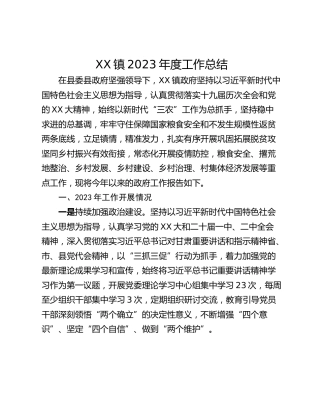 XX镇2023年度工作总结