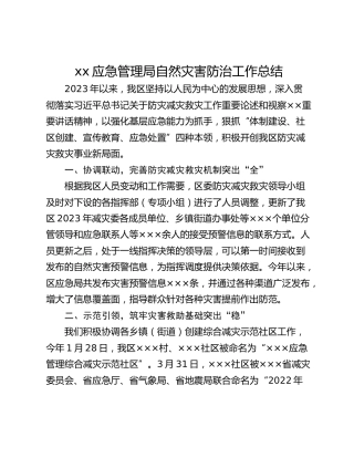 xx应急管理局自然灾害防治工作总结