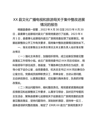 XX县文化广播电视和旅游局关于集中整改进展情况的报告