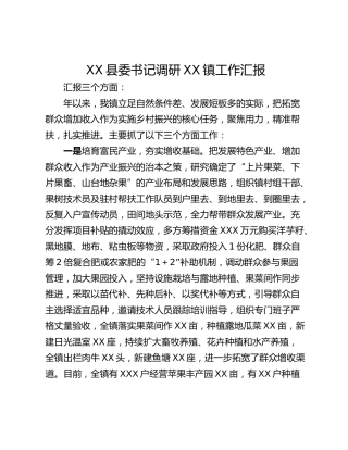 XX县委书记调研XX镇工作汇报
