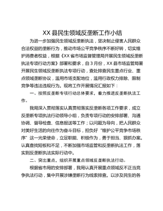 XX县民生领域反垄断工作小结