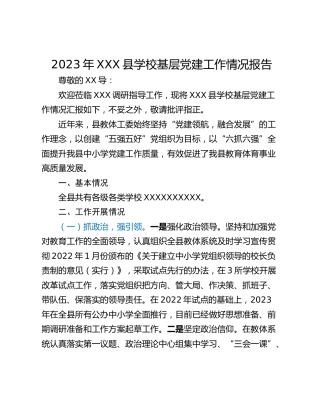 2023年XXX县学校基层党建工作情况报告