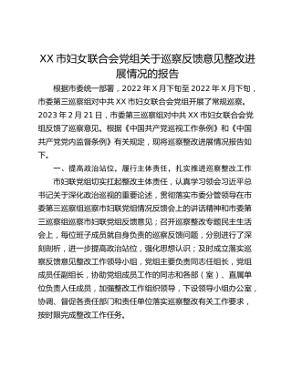 XX市妇女联合会党组关于巡察反馈意见整改进展情况的报告