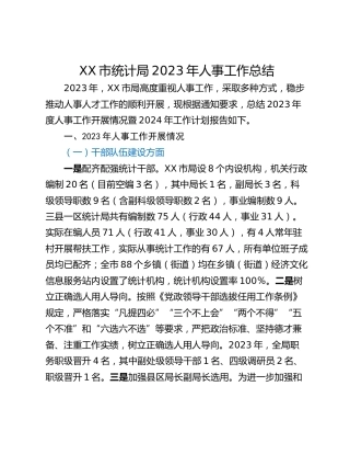 XX市统计局2023年人事工作总结