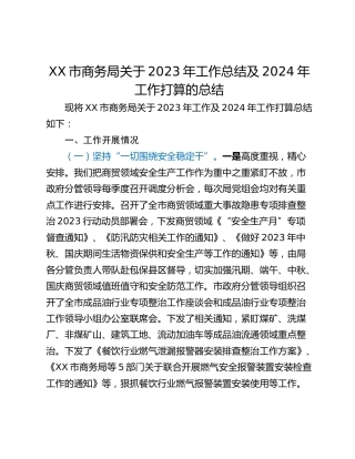 XX市商务局关于2023年工作总结及2024年工作打算的总结