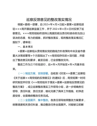巡察反馈意见的整改落实情况