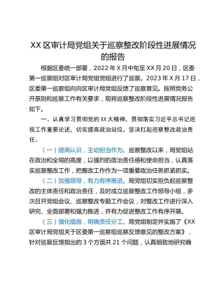 XX区审计局党组关于巡察整改阶段性进展情况的报告