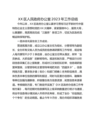 XX区人民政府办公室2023年工作总结
