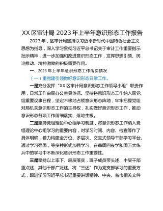XX区审计局 2023年上半年意识形态工作报告