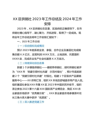 XX区供销社2023年工作总结及2024年工作安排