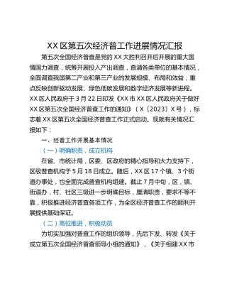 XX区第五次经济普工作进展情况汇报
