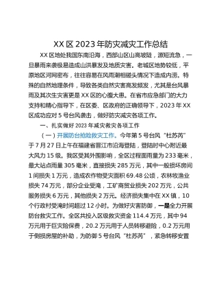 XX区2023年防灾减灾工作总结