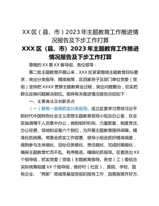 XX区（县、市）2023年主题教育工作推进情况报告及下步工作打算