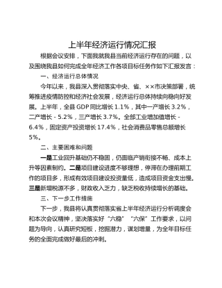 上半年经济运行情况汇报