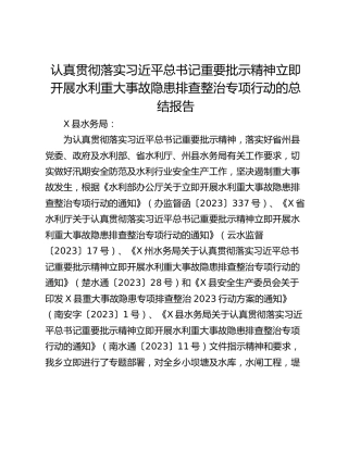 认真贯彻落实习近平总书记重要批示精神立即开展水利重大事故隐患排查整治专项行动的总结报告