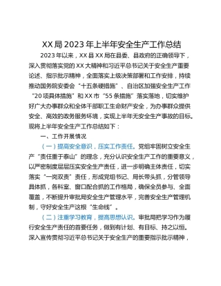 XX局2023年上半年安全生产工作总结