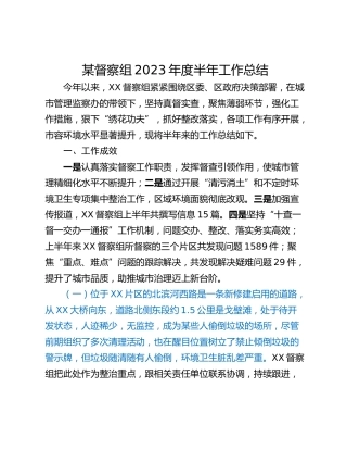 某督察组2023年度半年工作总结