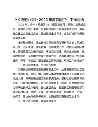 XX街道办事处2023年度爱国卫生工作总结